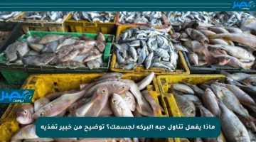 ماذا يفعل تناول حبة البركة لجسمك؟ توضيح من خبير تغذية